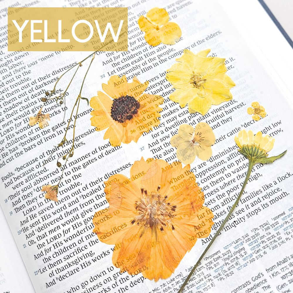 God Is Within Her Pressed Flower Scripture Art