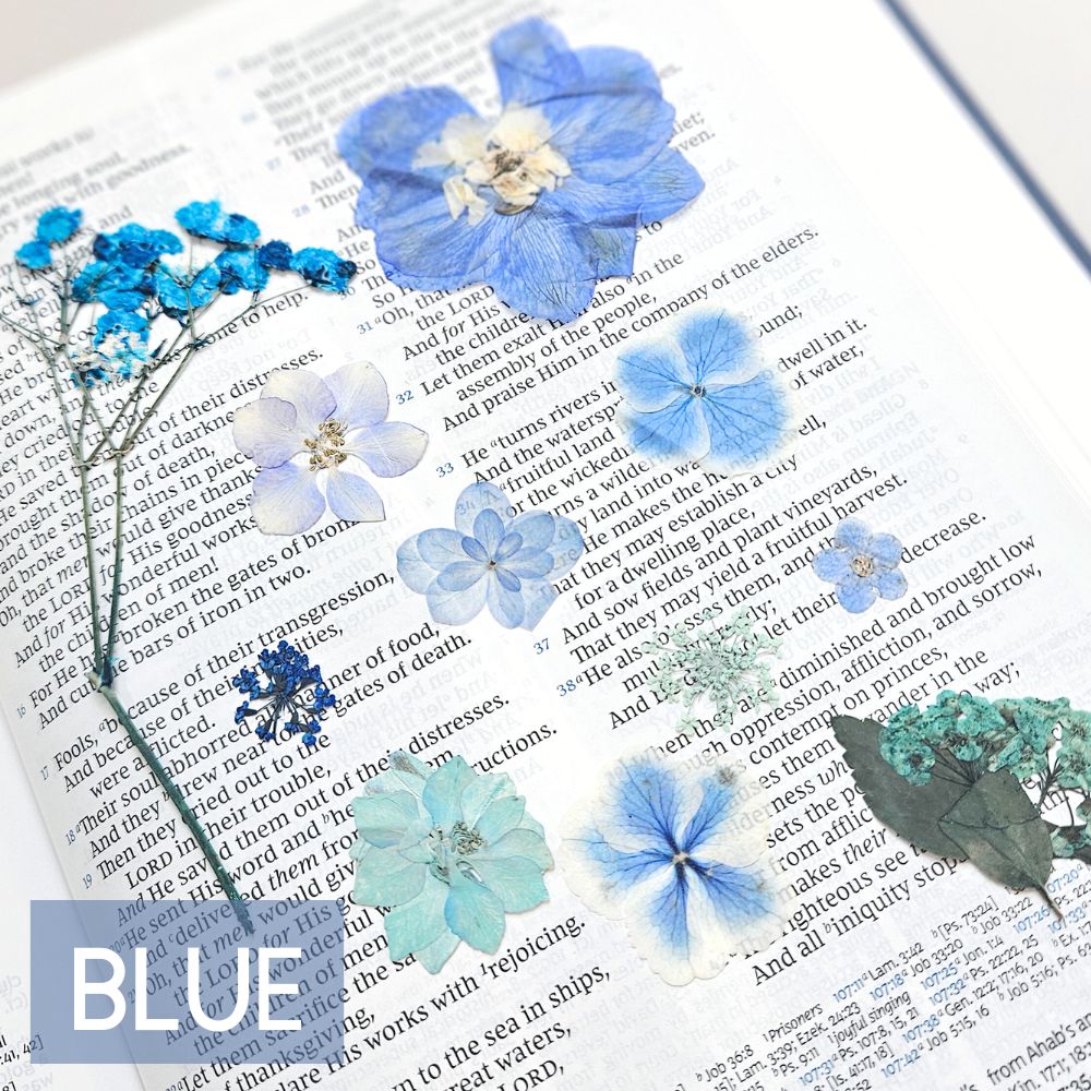 God Is Within Her Pressed Flower Scripture Art