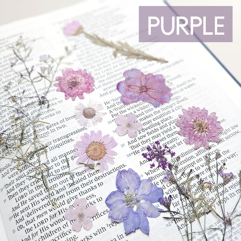 God Is Within Her Pressed Flower Scripture Art