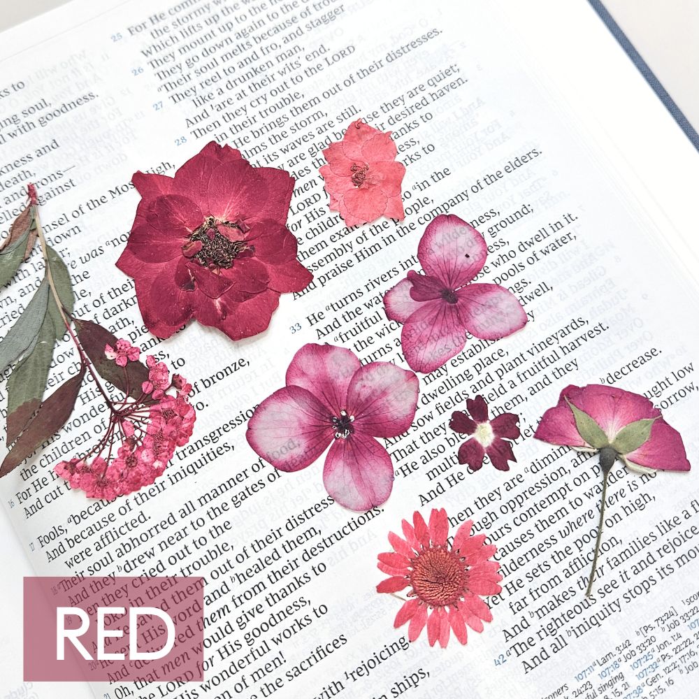 God Is Within Her Pressed Flower Scripture Art