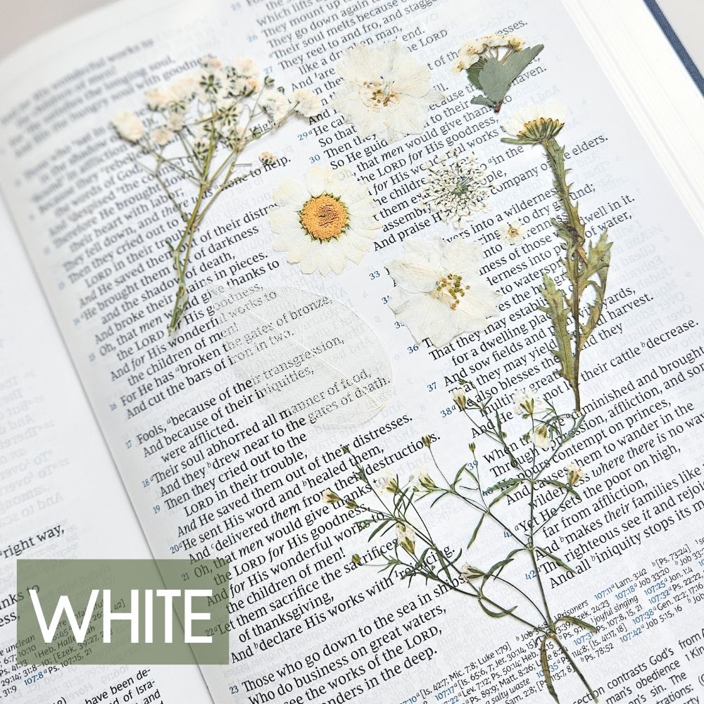 God Is Within Her Pressed Flower Scripture Art