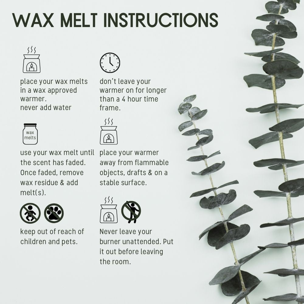 Cinnamon Bible Study Wax Melts