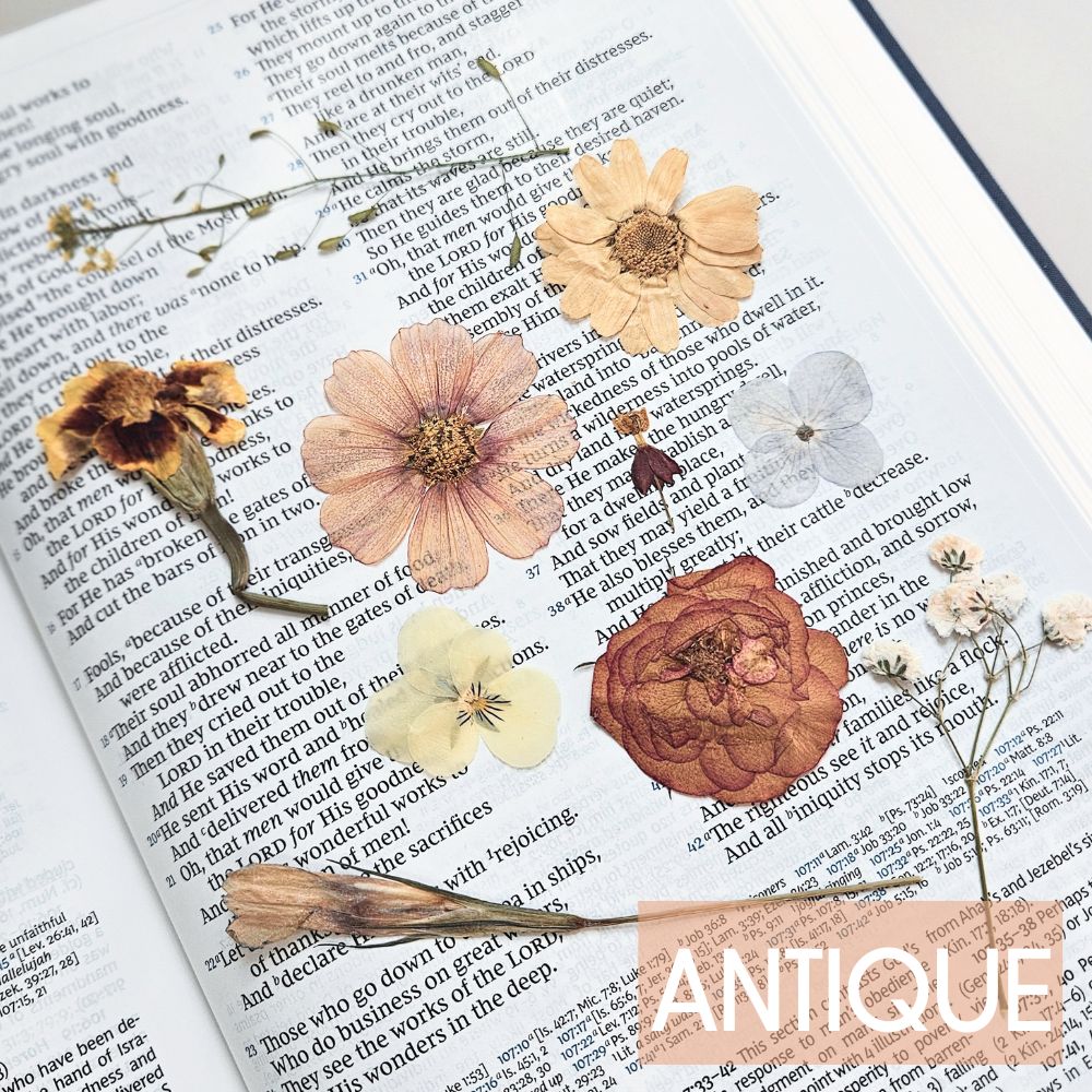 God Is Within Her Pressed Flower Scripture Art