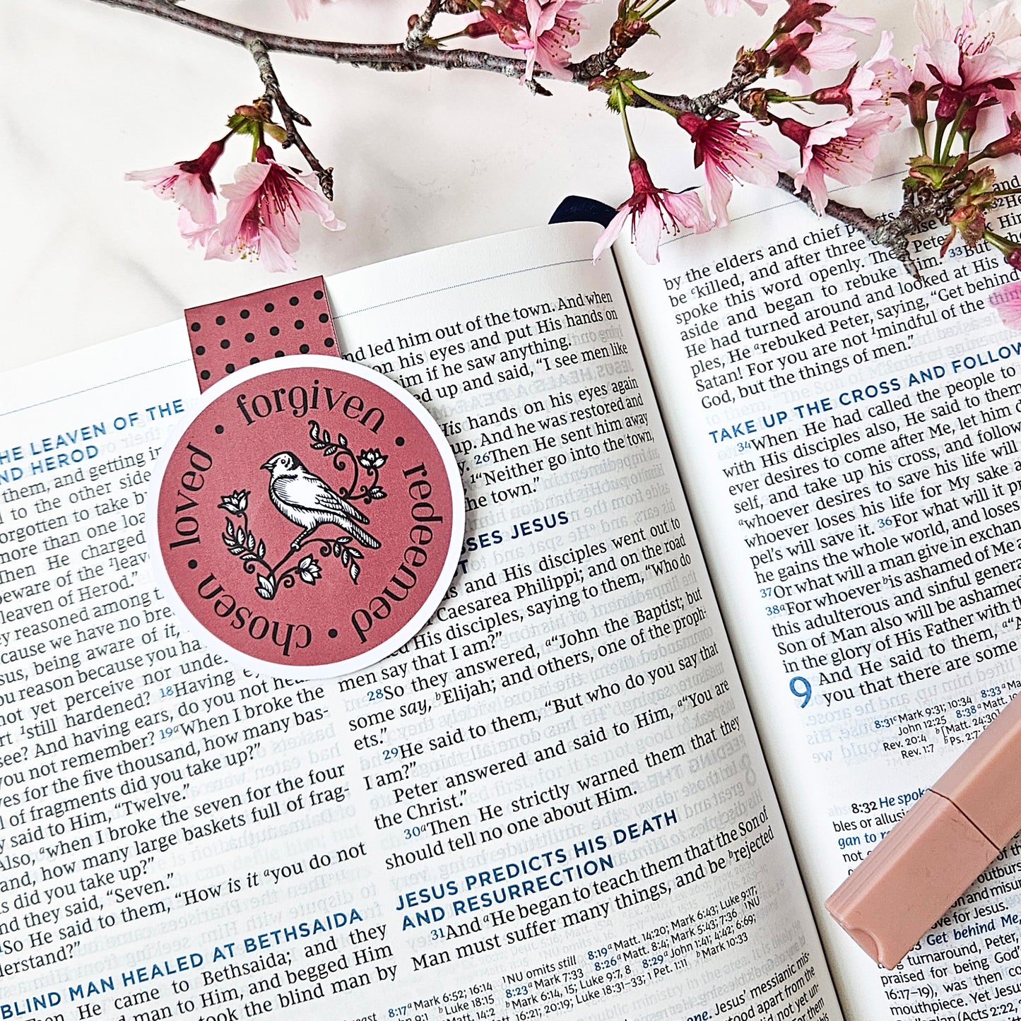 Vintage Bird Magnetic [BIBLE]MARK