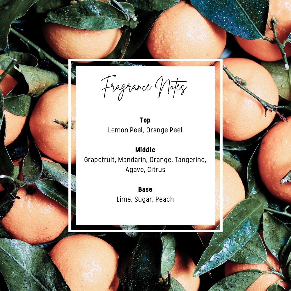 Citrus Bible Study Wax Melts