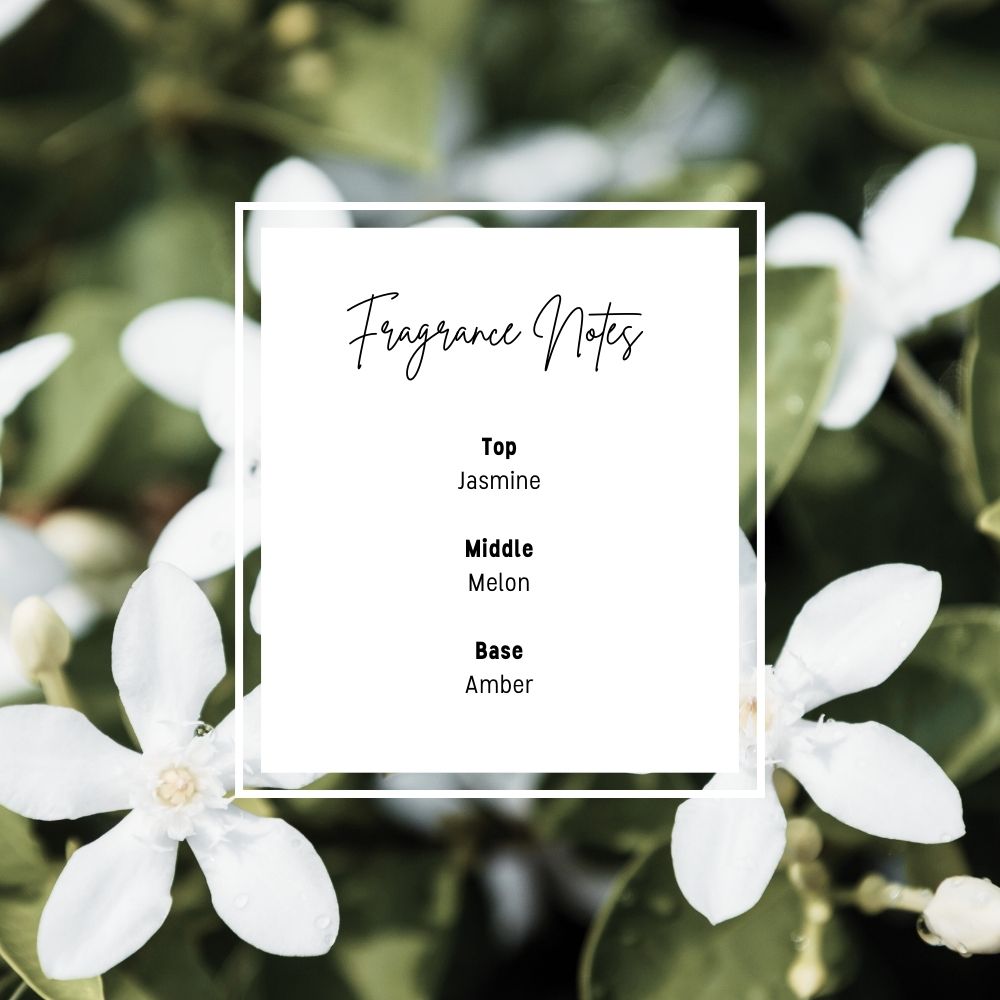 Jasmine Bible Study Wax Melts